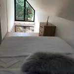 Pino