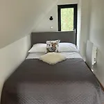 Pino *