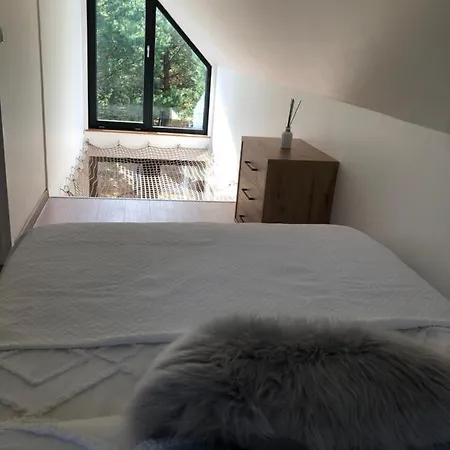 Pino